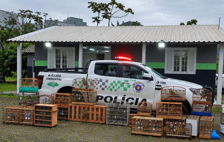 Polícia Ambiental apreende 58 aves silvestres em São Sebastião
